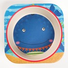 Миска - тарелочка детская из бамбука, рисунок и цвет МИКС, 250 мл, 14х14х3,5 - фото 42847491