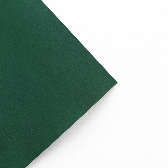 Бумага упаковочная глянцевая двухсторонняя «Тропики», 70 х 100 см - фото 1908523256