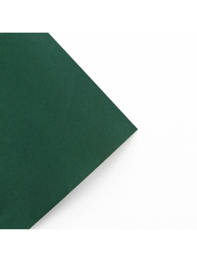 Бумага упаковочная глянцевая двухсторонняя «Тропики», 70×100 см