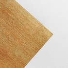Бумага упаковочная глянцевая двухсторонняя «Present», 70 х 100 см - Фото 3
