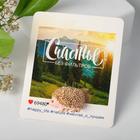 Брошь «Ёжик» лесной, цвет розовый в золоте - Фото 1