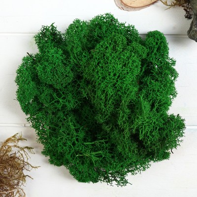 Мох стабилизированный «Зелёный» 45 г (±5 г).