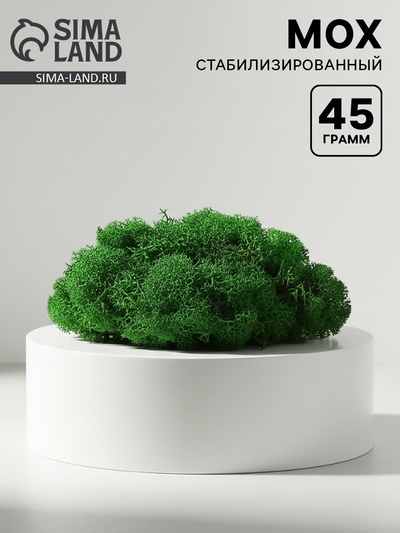 Мох стабилизированный «Зелёный» 45 г (±5 г).