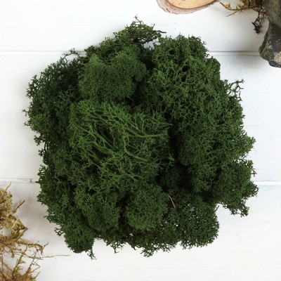 Мох стабилизированный «Тёмно-зелёный», 45 г (+-5 г).