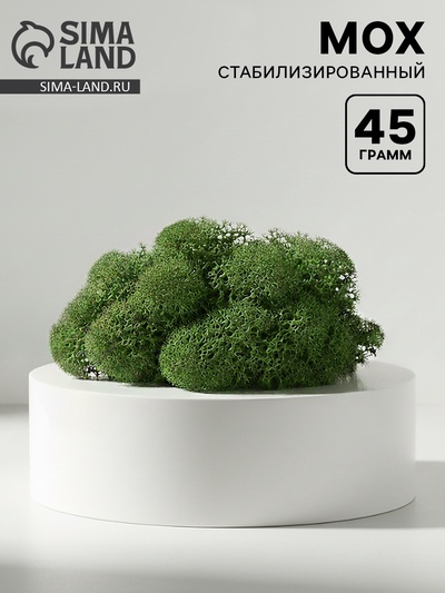 Мох стабилизированный «Салатовый» 45 г (±5 г).