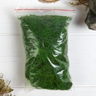 Мох стабилизированный &#171;Салатовый&#187; 45 г (&#177;5 г). - фото 23521181