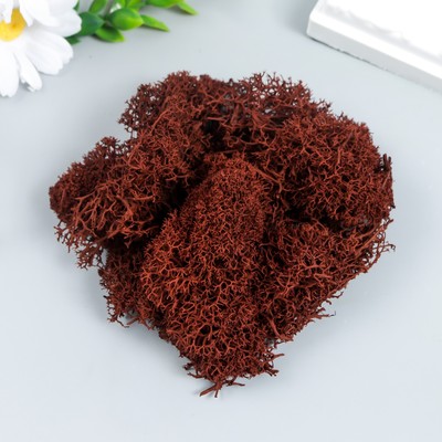 Мох стабилизированный «Коричневый» 45 г (±5 г).