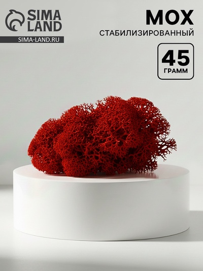 Мох стабилизированный "Красный" 45 гр (+-5 гр).
