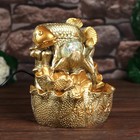 Фонтан настольный с подсветкой «Золотой карп с монетами», от сети, золото, 21×15×12 см - Фото 2