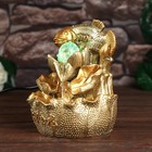 Фонтан настольный с подсветкой «Золотой карп с монетами», от сети, золото, 21×15×12 см - Фото 3