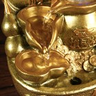 Фонтан настольный от сети, подсветка "Китайская монета" золото 26х18х17 см - Фото 6