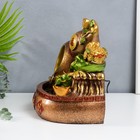 Фонтан настольный с подсветкой «Жаба и Хулу», от сети, 31×31×20 см - Фото 4