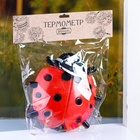 Оконный термометр «Божья коровка», пластиковый, «Добропаровъ» 4444057