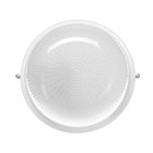 Светильник «БелТИЗ» НБП 03-60-001 УХЛ1, Е27, 60 Вт, 220 В, IP54, до +130°, белый - Фото 2