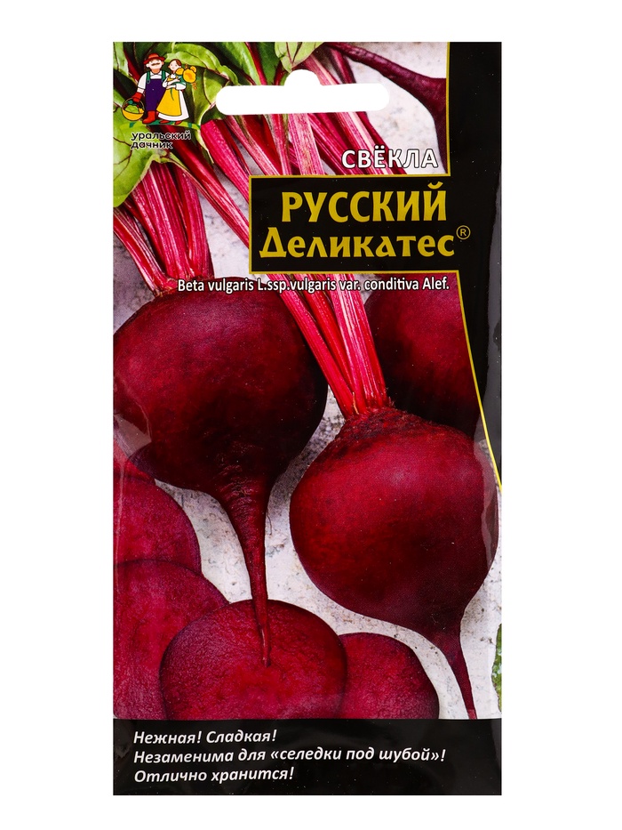 Семена Свекла "Русский деликатес", среднеспелый, 2 г - Фото 1