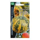 Семена Тыква "Абрикосовая", 3-5 шт - Фото 3