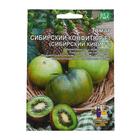 Семена томат «Сибирский киви», 20 шт. - Фото 3