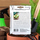 Семена томат «Сибирский киви», 20 шт. - Фото 2