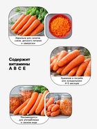 Семена Морковь «Санькина любовь», F1, 1 г, «Уральский дачник» - Фото 3