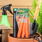 Семена Морковь «Санькина любовь», F1, 1 г, «Уральский дачник» - Фото 7