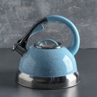 Чайник со свистком 3 л «Пломбир», индукция, цвет МИКС - Фото 1