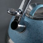 Чайник со свистком 3 л «Пломбир», индукция, цвет МИКС - Фото 2