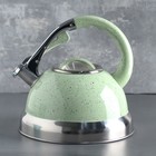 Чайник со свистком 3 л «Пломбир», индукция, цвет МИКС - Фото 6