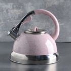 Чайник со свистком 3 л «Пломбир», индукция, цвет МИКС - Фото 7