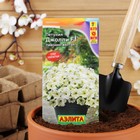 Семена Петуния «Джолли лимонно-желтая F1» многоцветковая, 5 шт. - Фото 3