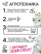 Семена Петуния "Мамбо" F1 белая многоцветковая, 7 шт - Фото 4