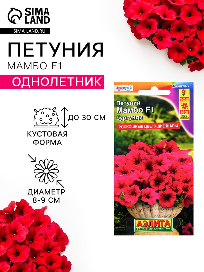 Семена цветов Петуния «Мамбо» F1 бургунди, многоцветковая, 7 шт. - Фото 1