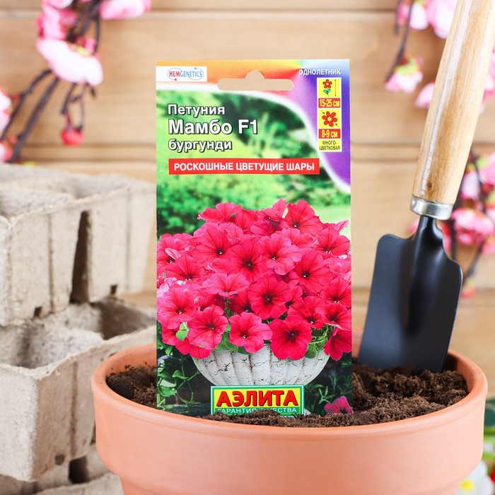 Семена Петуния Мамбо F1 бургунди многоцветковая, 7 шт - Фото 1