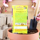 Семена Петуния Мамбо F1 бургунди многоцветковая, 7 шт - Фото 2