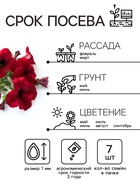 Семена Петуния Мамбо F1 пурпурная многоцветковая, 7 шт - Фото 3