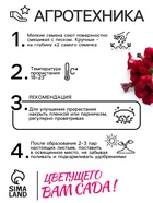 Семена Петуния Мамбо F1 пурпурная многоцветковая, 7 шт - Фото 4