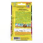 Семена цветов Петуния Мамбо F1 розовая с прожилками многоцветковая, 7 шт - Фото 4