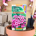 Семена цветов Петуния Мамбо F1 розовая с прожилками многоцветковая, 7 шт - Фото 1