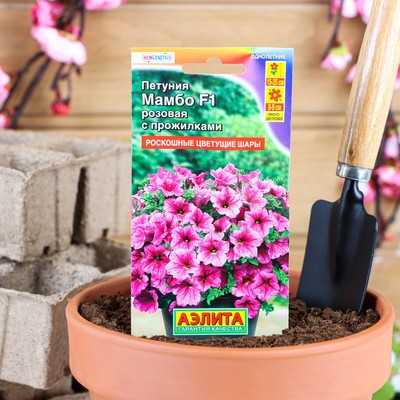 Семена цветов Петуния Мамбо F1 розовая с прожилками многоцветковая, 7 шт