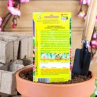 Семена цветов Петуния Мамбо F1 розовая с прожилками многоцветковая, 7 шт - Фото 2