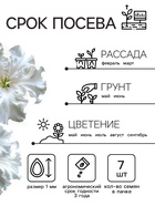 Семена Петуния Афродита F1 белая крупноцветковая, 7 шт - Фото 2