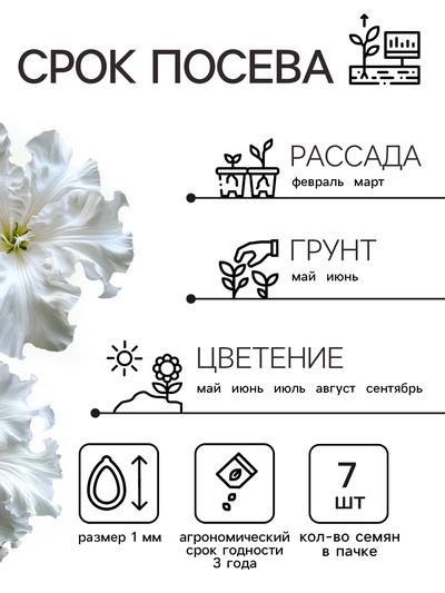 Семена цветов Петуния «Афродита», F1, белая, крупноцветковая, 7 шт., «Аэлита»