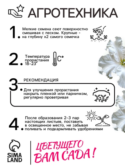 Семена цветов Петуния «Афродита», F1, белая, крупноцветковая, 7 шт., «Аэлита»