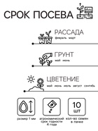 Семена цветов Петуния «Шифон», F1, обильноцветущая, 5 шт., однолетник, «Аэлита» - Фото 2