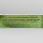 Шампунь аюрведический Дэй Ту Дэй Кэр Амла Шикакай с мыльным орехом, 200 мл - фото 8021813