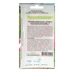 Семена цветов Петуния ампельная "Лавина Пурпурная королева" F1 - Фото 2