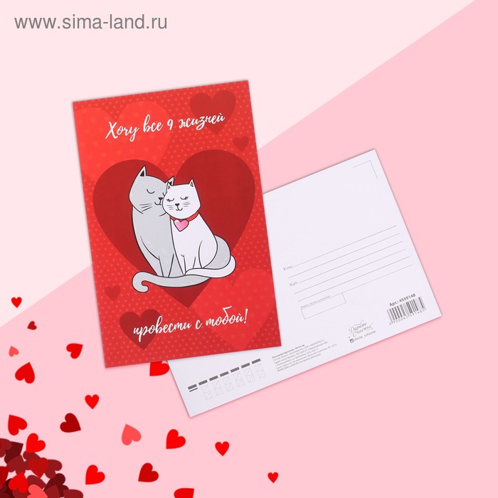 Почтовая карточка «Любовь», коты, 10 х 15 см - Фото 1