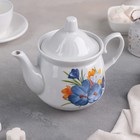 Чайник «Крокус», 550 мл - Фото 1