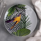Тарелка «Тропики», d=24 см, МИКС - Фото 1