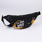 Сумка поясная Wild 32х8х15 см, отдел на молнии, цвет чёрный - фото 21016646