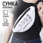 Сумка поясная, отдел на молнии, цвет белый - фото 3425170